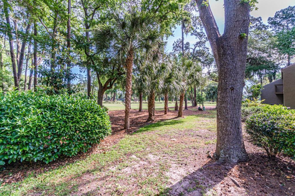 Vila Pet Friendly! 503 Plantation Club Walk To Pool Sleeps 6 Sea Pines Hilton Head Island Exteriér fotografie