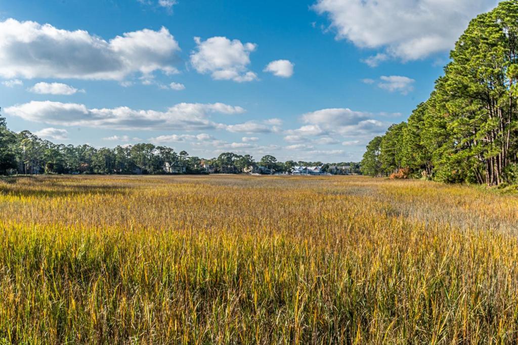 Vila Pet Friendly! 503 Plantation Club Walk To Pool Sleeps 6 Sea Pines Hilton Head Island Exteriér fotografie